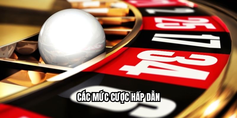 Các mức cược hấp dẫn