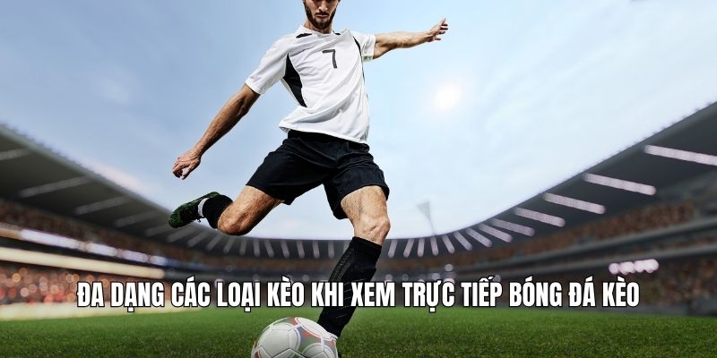 Đa dạng các loại kèo khi xem trực tiếp bóng đá kèo