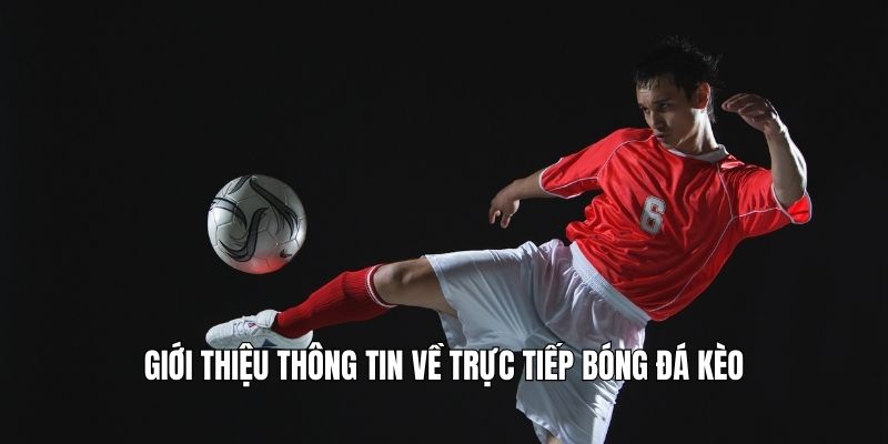Giới thiệu thông tin về trực tiếp bóng đá kèo