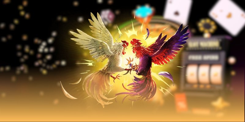 Những phần thưởng độc đáo khi tham gia đá gà