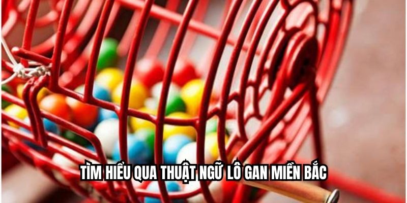 Tìm hiểu qua thuật ngữ lô gan miền bắc